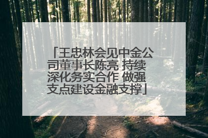 王忠林会见中金公司董事长陈亮 持续深化务实合作 做强支点建设金融支撑