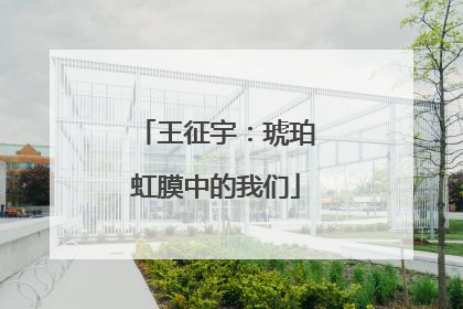 王征宇：琥珀虹膜中的我们