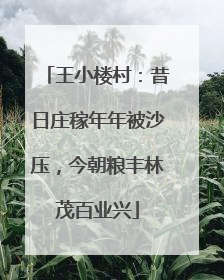 王小楼村：昔日庄稼年年被沙压，今朝粮丰林茂百业兴