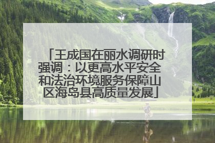 王成国在丽水调研时强调：以更高水平安全和法治环境服务保障山区海岛县高质量发展
