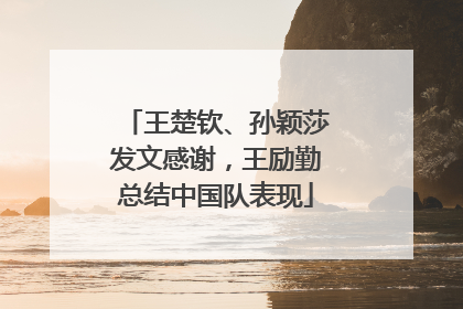 王楚钦、孙颖莎发文感谢，王励勤总结中国队表现