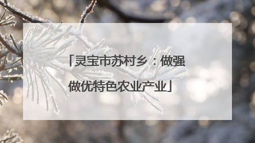 灵宝市苏村乡：做强做优特色农业产业