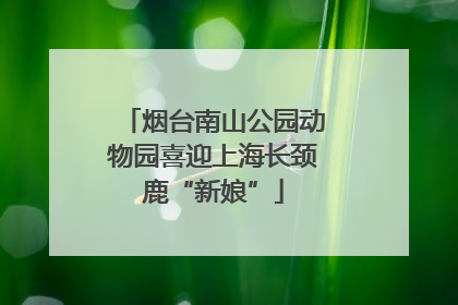 烟台南山公园动物园喜迎上海长颈鹿“新娘”