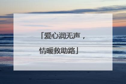 爱心润无声，情暖救助路