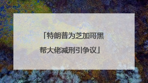 特朗普为芝加哥黑帮大佬减刑引争议