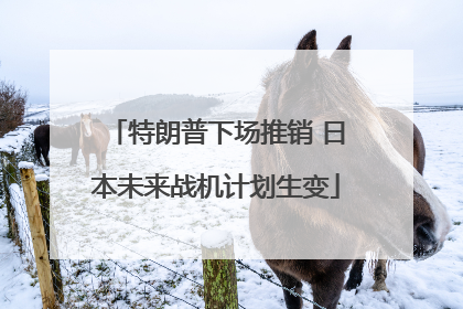 特朗普下场推销 日本未来战机计划生变