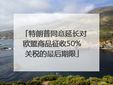 特朗普同意延长对欧盟商品征收50%关税的最后期限