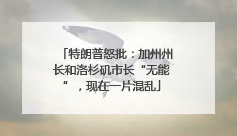 特朗普怒批：加州州长和洛杉矶市长“无能”，现在一片混乱