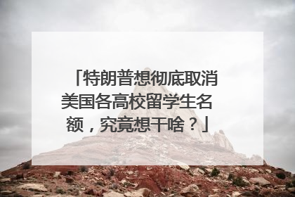 特朗普想彻底取消美国各高校留学生名额，究竟想干啥？
