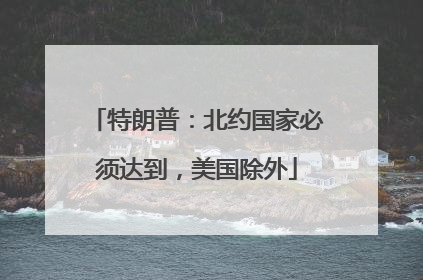 特朗普：北约国家必须达到，美国除外