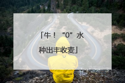 牛！“0”水种出丰收麦