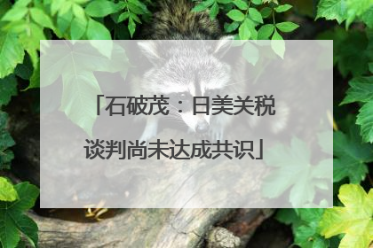 石破茂：日美关税谈判尚未达成共识