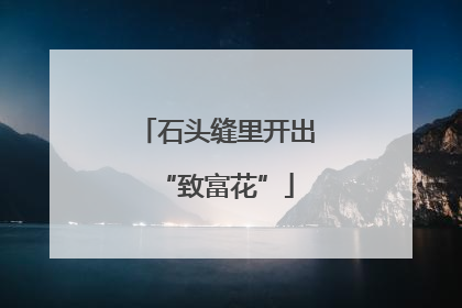 石头缝里开出“致富花”