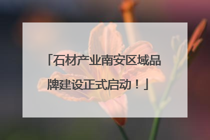 石材产业南安区域品牌建设正式启动！