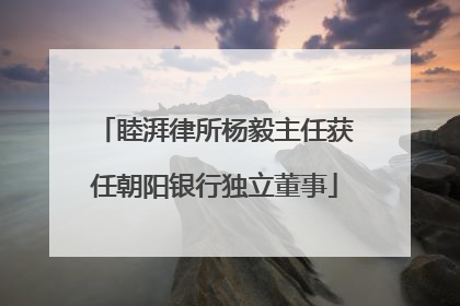 睦湃律所杨毅主任获任朝阳银行独立董事
