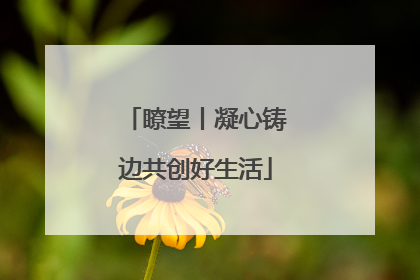 瞭望丨凝心铸边共创好生活