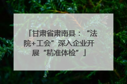 甘肃省肃南县：“法院+工会”深入企业开展“精准体检”