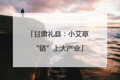 甘肃礼县：小艾草“链”上大产业