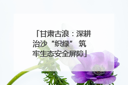 甘肃古浪：深耕治沙“织绿” 筑牢生态安全屏障