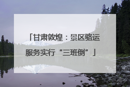 甘肃敦煌：景区骆运服务实行“三班倒”