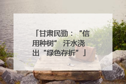 甘肃民勤：“信用种树” 汗水浇出“绿色存折”