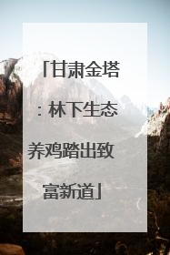 甘肃金塔：林下生态养鸡踏出致富新道