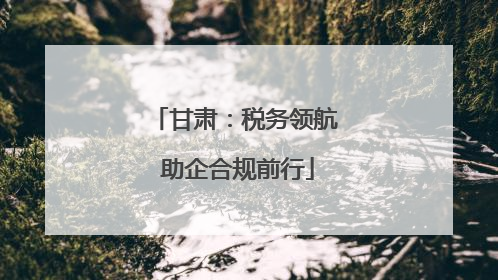 甘肃：税务领航 助企合规前行