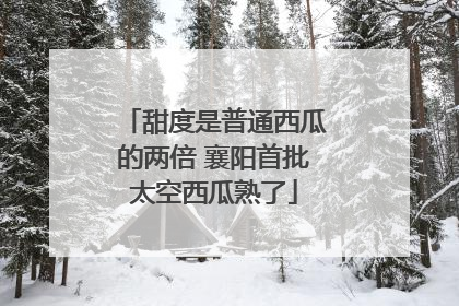 甜度是普通西瓜的两倍 襄阳首批太空西瓜熟了
