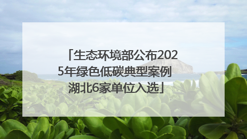 生态环境部公布2025年绿色低碳典型案例 湖北6家单位入选
