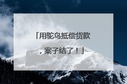 用鸵鸟抵偿货款，案子结了！