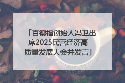 百德福创始人冯卫出席2025民营经济高质量发展大会并发言