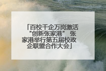 百校千企万岗激活“创新张家港” 张家港举行第五届校政企联盟合作大会