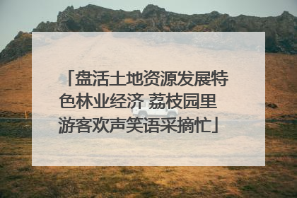 盘活土地资源发展特色林业经济 荔枝园里游客欢声笑语采摘忙