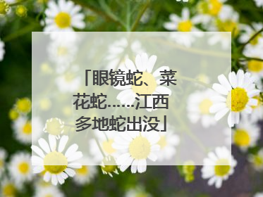 眼镜蛇、菜花蛇……江西多地蛇出没