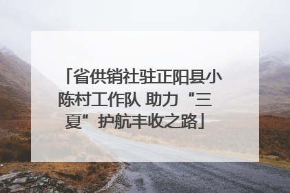 省供销社驻正阳县小陈村工作队 助力“三夏”护航丰收之路