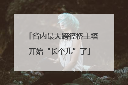省内最大跨径桥主塔开始“长个儿”了