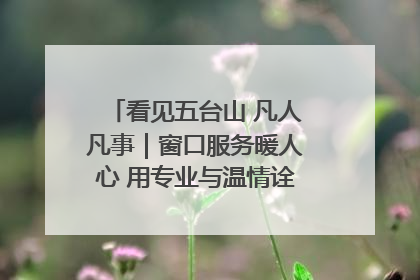 看见五台山 凡人凡事｜窗口服务暖人心 用专业与温情诠释责任担当