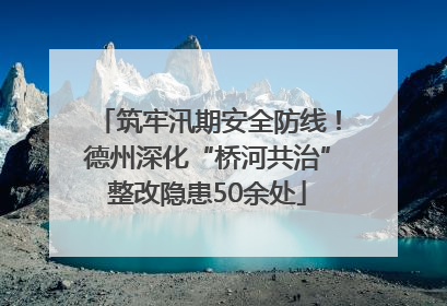 筑牢汛期安全防线！德州深化“桥河共治”整改隐患50余处
