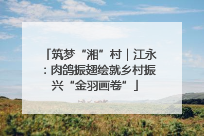 筑梦“湘”村｜江永：肉鸽振翅绘就乡村振兴“金羽画卷”