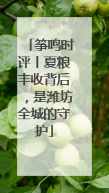 筝鸣时评丨夏粮丰收背后，是潍坊全城的守护