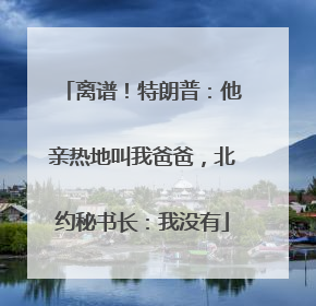 离谱！特朗普：他亲热地叫我爸爸，北约秘书长：我没有