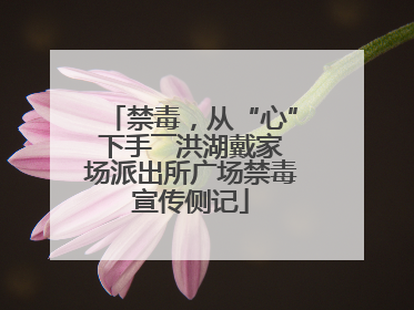禁毒，从“心”下手――洪湖戴家场派出所广场禁毒宣传侧记