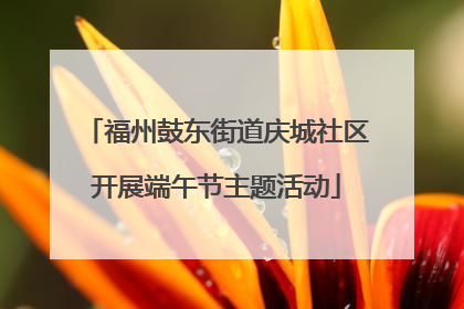 福州鼓东街道庆城社区开展端午节主题活动