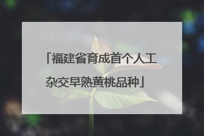 福建省育成首个人工杂交早熟黄桃品种