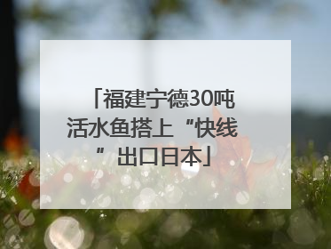 福建宁德30吨活水鱼搭上“快线”出口日本