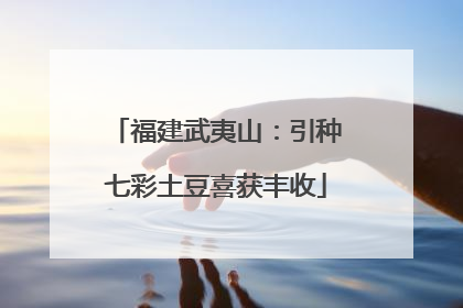 福建武夷山：引种七彩土豆喜获丰收
