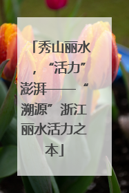 秀山丽水，“活力”澎湃——“溯源”浙江丽水活力之本