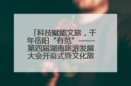 科技赋能文旅，千年岳阳“有范”——第四届湖南旅游发展大会开幕式暨文化旅游推介会侧记
