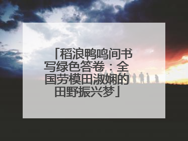 稻浪鸭鸣间书写绿色答卷：全国劳模田淑娴的田野振兴梦