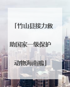 竹山县接力救助国家一级保护动物海南鳽